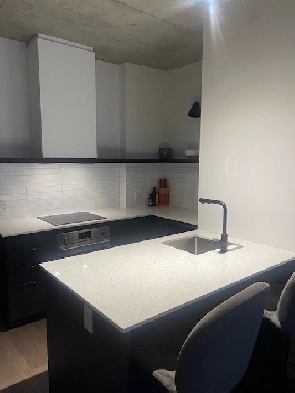 Cession de bail – 3 ½ meublé à Griffintown / Sud-Ouest Image# 1