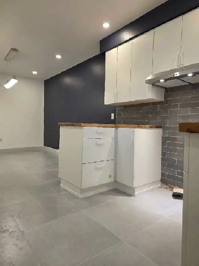 Metro Fabre splendide 5 1/2 paissible et chaleureux pres de tous Image# 1