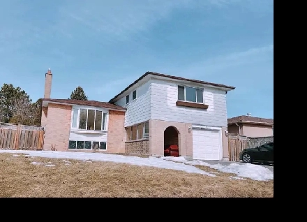 UTSC and Centennial College 3 rooms apartment for rental Image# 1