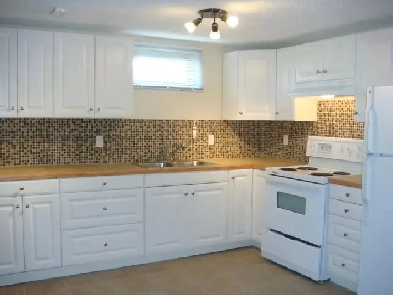 Near LRT-RENOD 2BR Lgl Bsmt-Open Concept Ktchn/HrdwdFlrs/PetsOK Image# 1