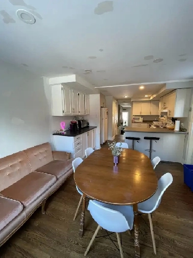 Student Housing for UOttawa - Available May 1st Image# 1