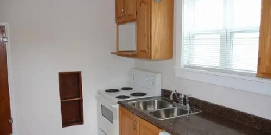 Beautiful 1 Bedroom Apartment, Available May 1st. Image# 1