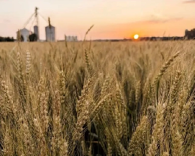 Young family looking for farm land to own or rent Image# 1