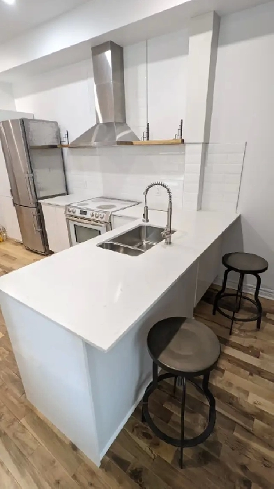 furnished 3 bedroom near McGill in the plateau Image# 1