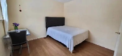 BASEMENT ROOM FOR RENT (AVAILABLE IN MAY) Image# 1