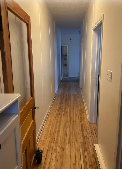 Grand 3 1/2 à louer – Rosemont (Bourbonnière / Dandurand Image# 1