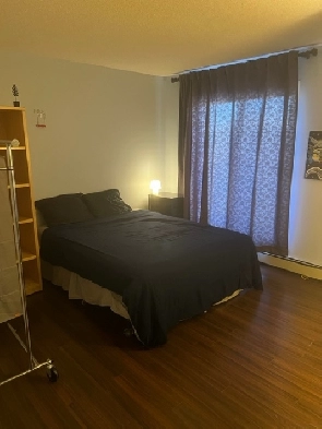 A large room is available for rent in Edgemont NW, Calgary Image# 1