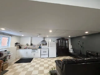 Spacious 2 bedroom furnished basement and 1 bedroom (upstairs) Image# 1