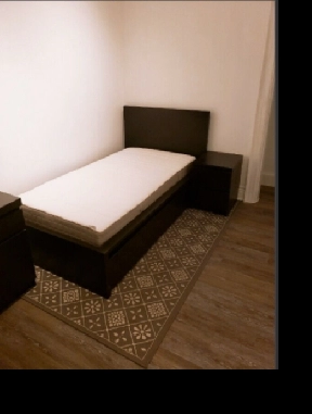 Private Room for Rent – Broadview & Dundas (Downtown Toronto) Image# 1