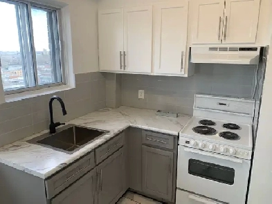 3 1/2 RÉNOVÉ – INTERNET INCLUS – MÉTRO – BALCON – ÉLECTROS Image# 1