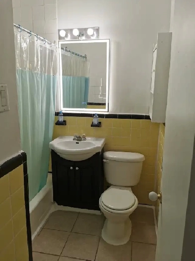 Big 4 1/2 apartment for rent Gote des Neiges Image# 1