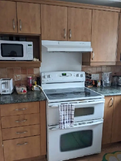 Superbe 4 ½, style condo,  entièrement rénové, 1er étage Image# 1