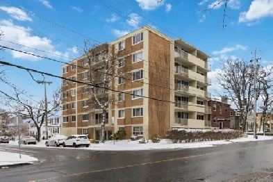 2 Bedroom Apartment South End image