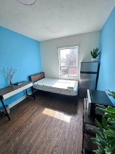 Furnished Room  Daily Fresh Indian Meals   Utilities  Laundry I image