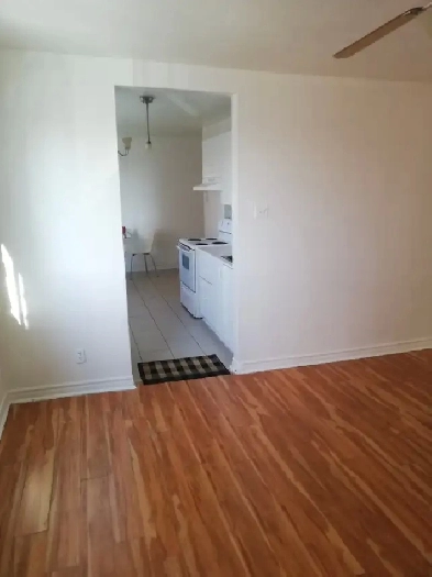 Appartement 3 1/2 à louer 1er juin Montréal-Nord Image# 1