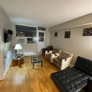 Furnished onebdr apt Gerard  River TTC 505  506 May intake image