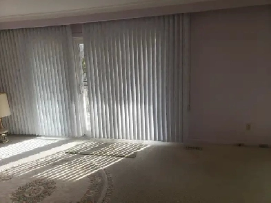 Two separate rooms for rent near Humber collage Image# 1