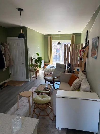 3 ½ STYLE LOFT ULTRA LUMINEUX – VILLERAY | MÉTRO FABRE & JARRY | Image# 1