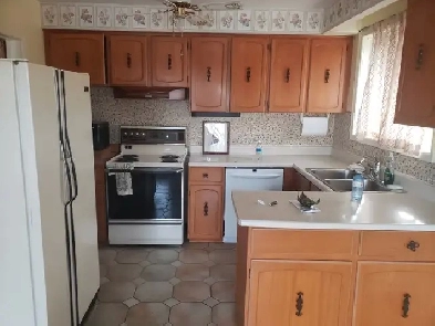 Two separate rooms for rent near Humber collage Image# 1