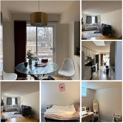 Female Student Summer Sublet (May-August) $750 OBO Image# 1