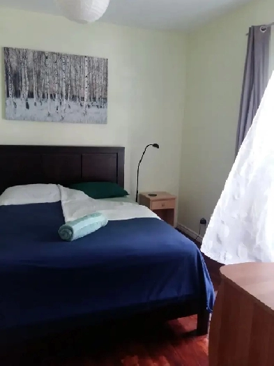 Très belle chambre confortable et calme à 300 m. du M° Rosemont Image# 1