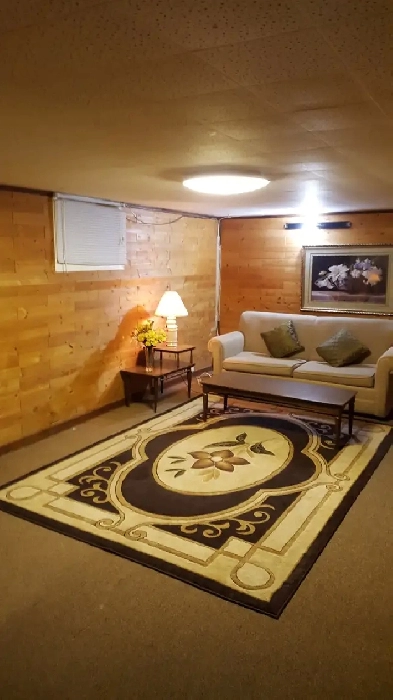 1 Bedroom basement Apt available from May 1st 2026 in REXDALE image