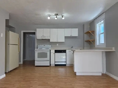 Affordable all utilities included 1bed unit Downtown Ottawa Image# 1