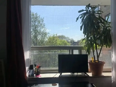 Studio Apartment for Rent | May 1 Lease | $1,395/mo Image# 1