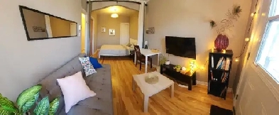 1 350 Studio Mtro Fabre Ligne Bleue image