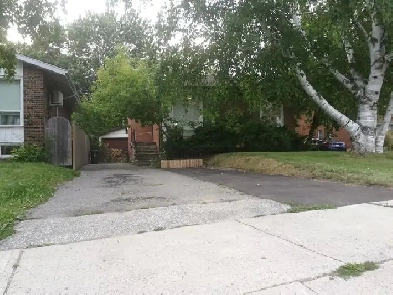 Furnished 3 Bedrooms House Near Warden & Sheppard Image# 1