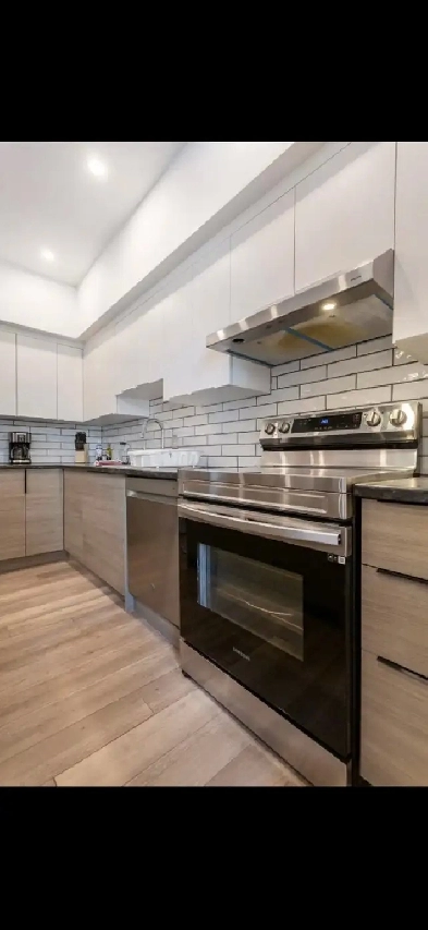 Appartement 5 12  louer mtro Prfontaine image