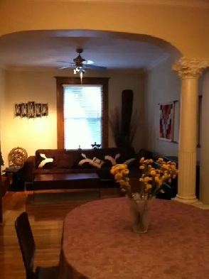 Large 7 12   finished basement and yard near JeanTalon market image