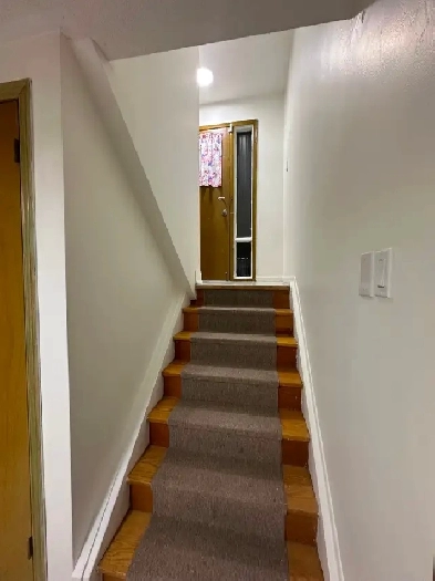 Basement Apartment for Rent Image# 1