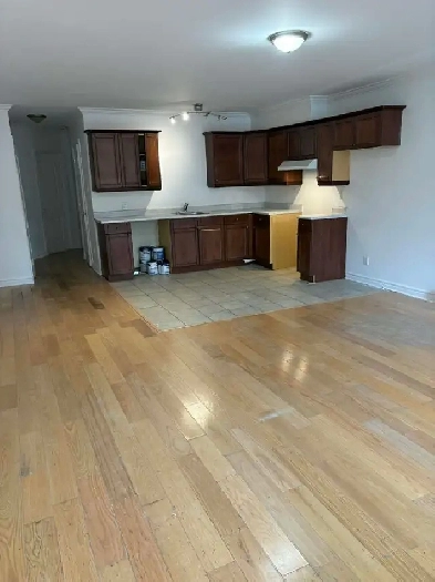 Charmant 41/2 Le Plateau Image# 1