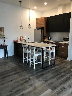 Magnifique 4  disponible en aot prs du REM  1 950  Apartme image