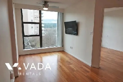 The Park 1 BR APT Rental 5031723 Alberni St Vancouver VADA image