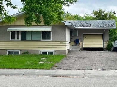 Available now university Mall ctrain close downtown one room image