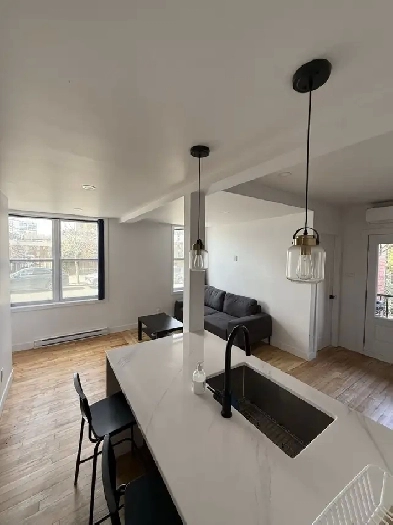 louer  5  lumineux  Montral image