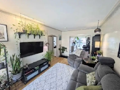 logement a louer Image# 1