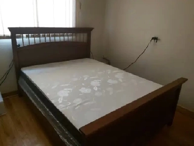 Room For Rent Near Humber Collage Image# 1