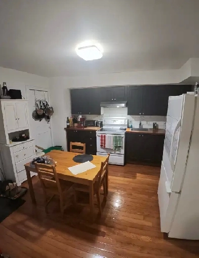 5.5 près du métro Beaubien (dispo mai) Image# 1