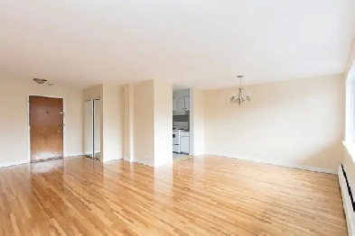3 1/2 Available now in Cote Saint-Luc Image# 1