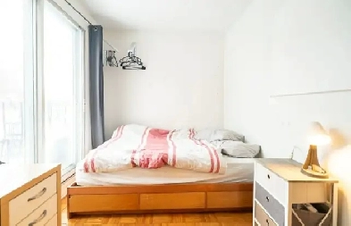 Chambre à louer à Montréal (plateau) Image# 1