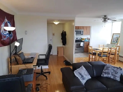 Furnished 1 bed 1 bath apt available May 1 Glebe 1 parking avail Image# 1