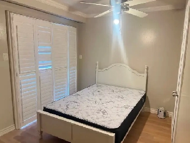One bed room with private bathroom available immediately Image# 1