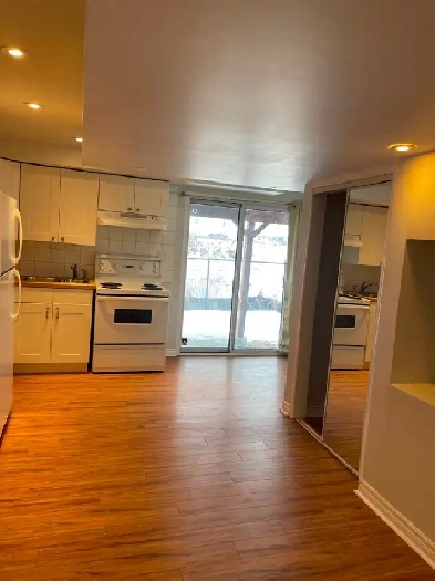 Newmarket Seperate entrance walkout basement for rent Image# 1