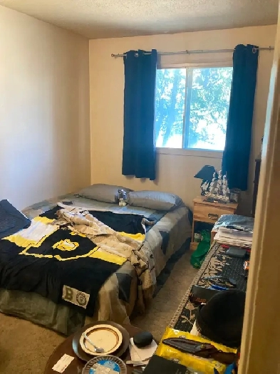 Room For Rent With Perks Image# 1