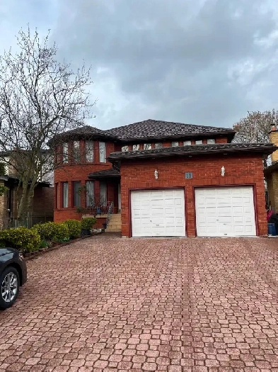 Furnished Room to Rent at Meadowvale / Lawrence East Image# 1