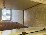 Bachelor Suite for Rent - Edmonton Oliver Area Image# 1