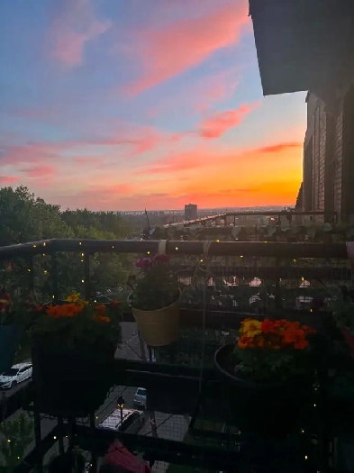 PET FRIENDLY! Bright & Spacious 2-Bedroom Apartment – 1,000  sq. Image# 1